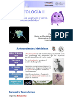 6. Trichomonas, Babesia (2)