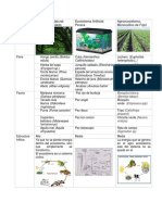 Ecosistema Natural