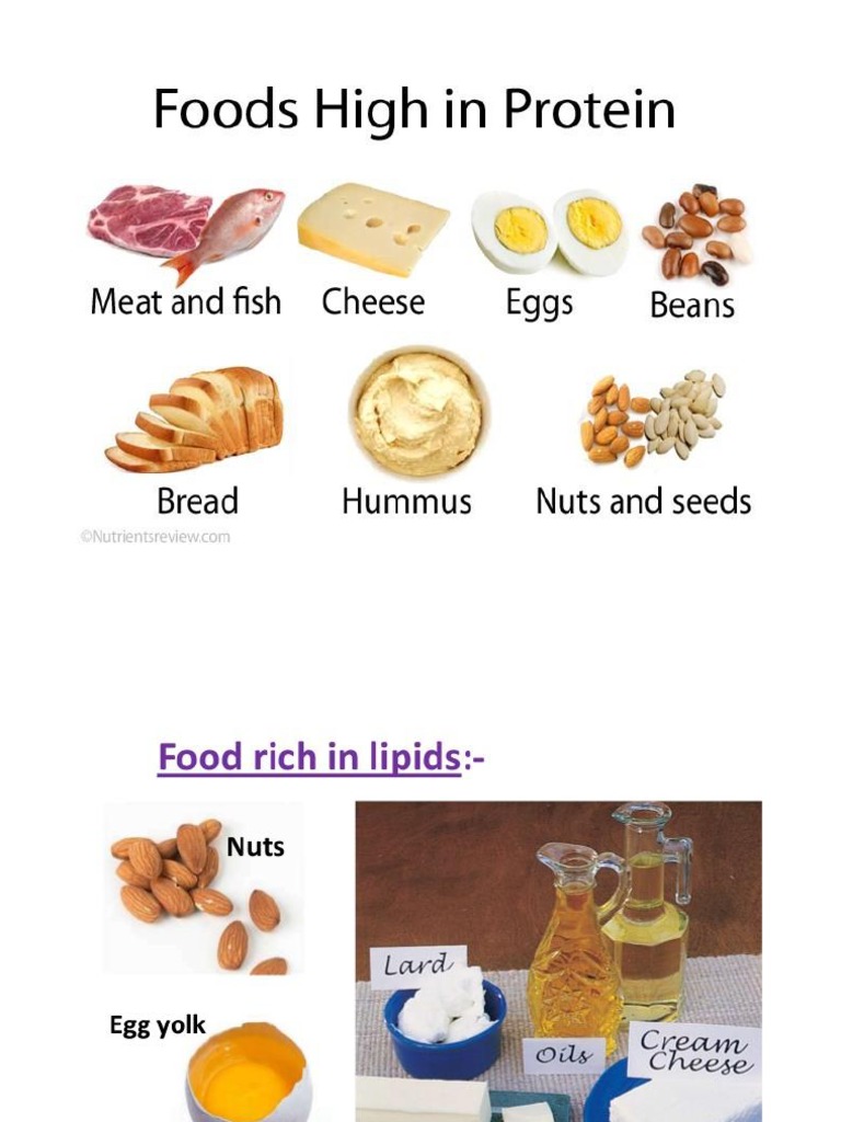 Foods Rich in Nucleic Acids PDF