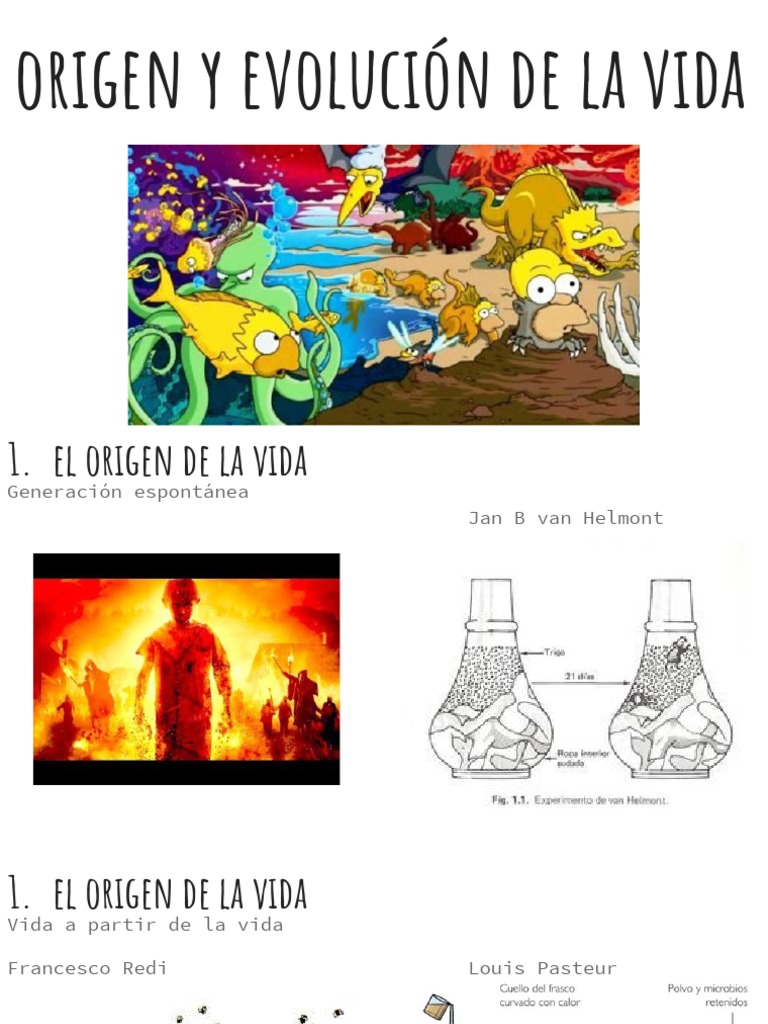 Origen y Evolución de La Vida PDF | PDF | Evolución | Abiogénesis