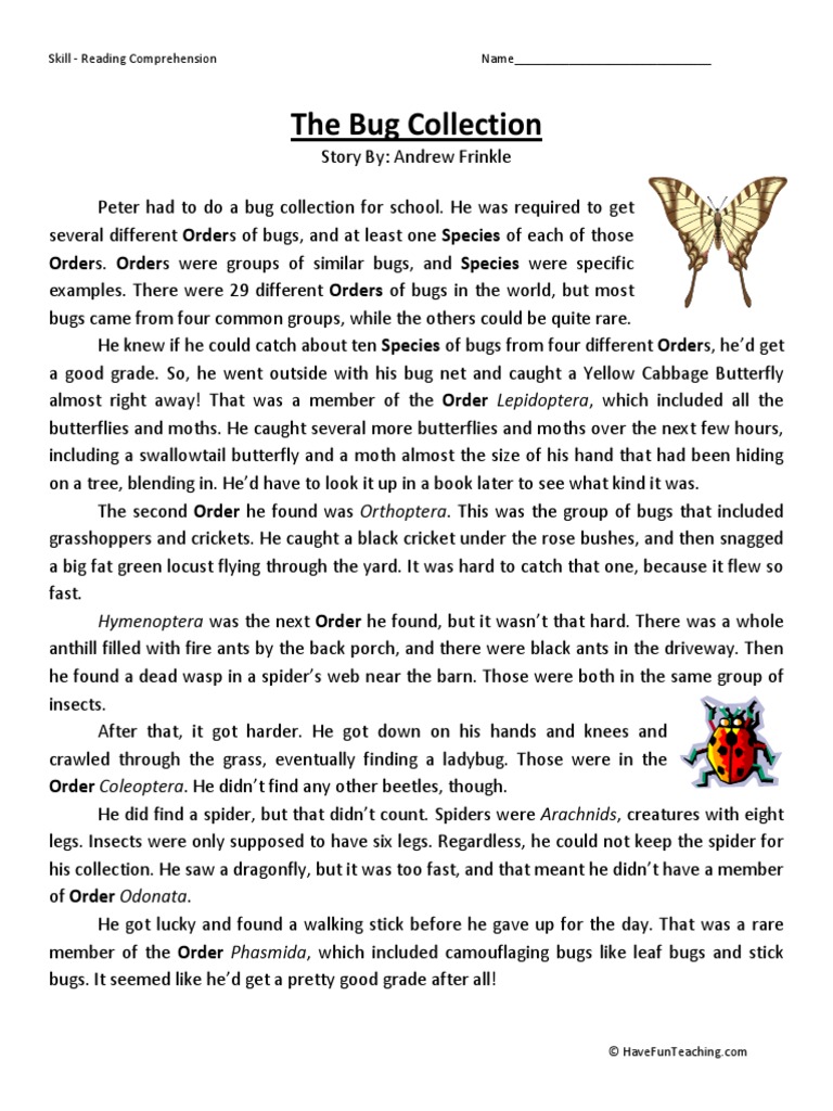 Reading Insect Orders PDF Butterfly Insects