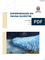 Clase Enfermedades Fauna Silvestre 2019 PDF