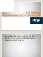 Sistemul Reproducator Feminin