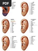 Mapa_de_auriculoterapia