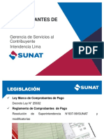 15.11.08_Comprobantes-de-pago.pdf