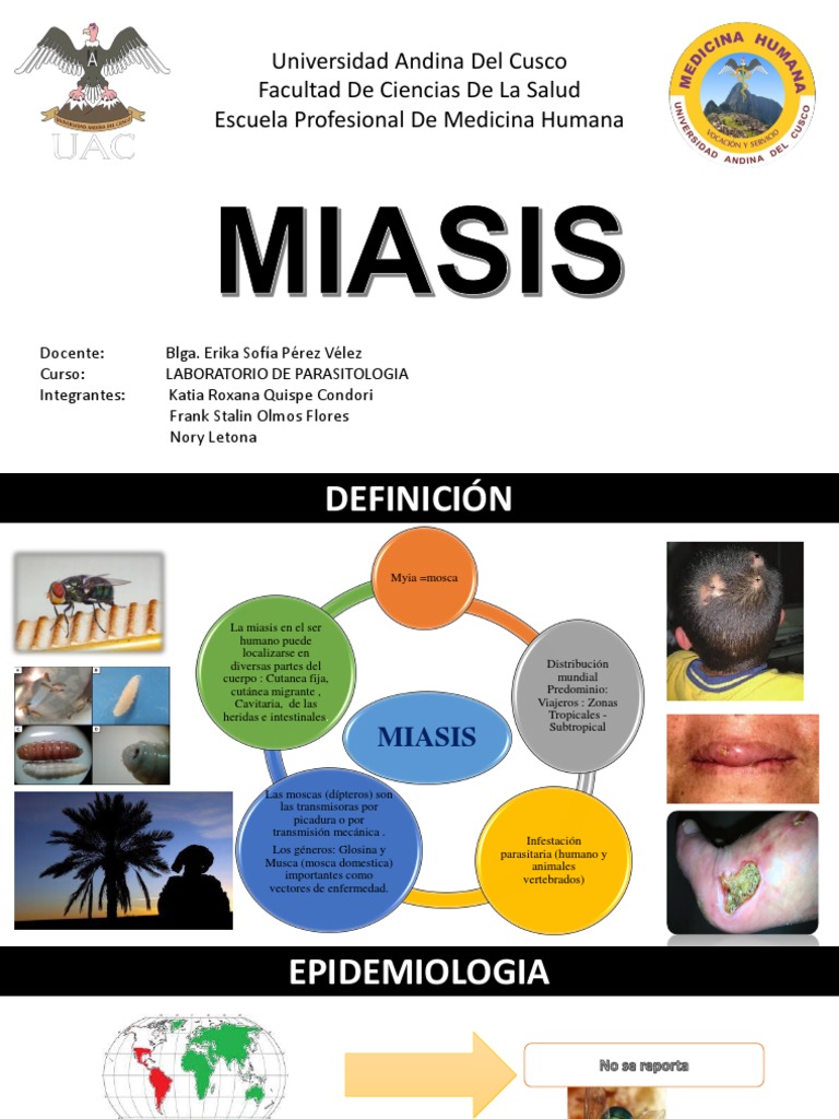 Ciclo de Vida y Tratamiento de Miasis | PDF | Mosca | Epidemiología
