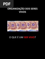 Exercícios Anatomia