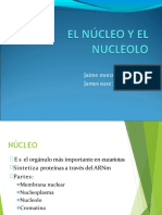 nucleo y nucleolo.pptx