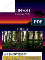 Forest: A Group of Trees