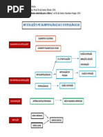 Mapa Articulações Metacarpofalangeanas e Interfalangeanas