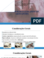 Seminário Anestesiologia Gestantes