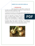 Fitomejoramiento de Allium Cepa ..,, Imprimir