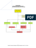 Organigrama Unidad Anatomía Patológica