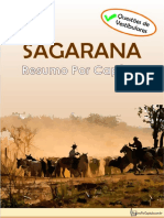 Sagarana Resumo Por Capitulo