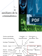 03 Prueba Cientifica