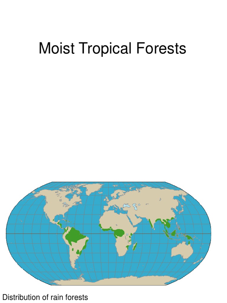 Global Distribution of Tropical Rainforests | PDF | Deforestation | Forests