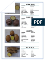 Descripción de formas y colores de papas nativas del Perú con menos de