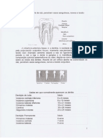 DENTES2.pdf