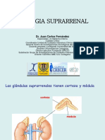 Glandulas Suprarrenales PDF