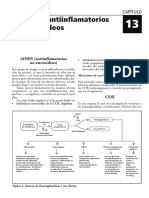 Aines y Corticoides