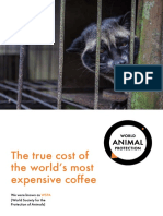 Civets True Cost of the Worlds Most Expensive Coffee (1)