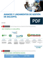 Avances Lineamientos de Gestion PDF