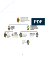 Culturas Andinas (Mapa Conceptual)