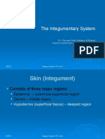 Sistem Integumen ELearning