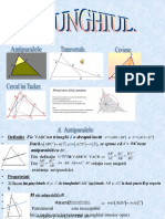 Triunghiul Antiparalele Transversaleceviene de Rang Ksimediane - Etc.ppsx