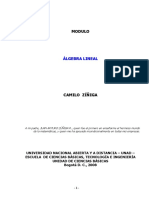 Algebra Lineal Modulo Junio 2008 PDF