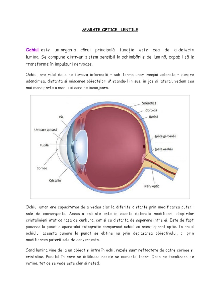 2.3. Aparate Optice Si Lentile. Ochiul | PDF