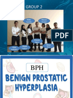 Group 2 BPH 2018A