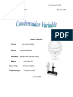 Condensador Variable 3