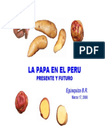 biblioteca_exposiciones_Papa_En_EL_Peru.pdf