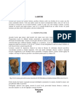 Proiect-DERMATO-2