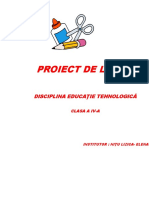 43966446 Abilitati Practice Proiect de Lectie