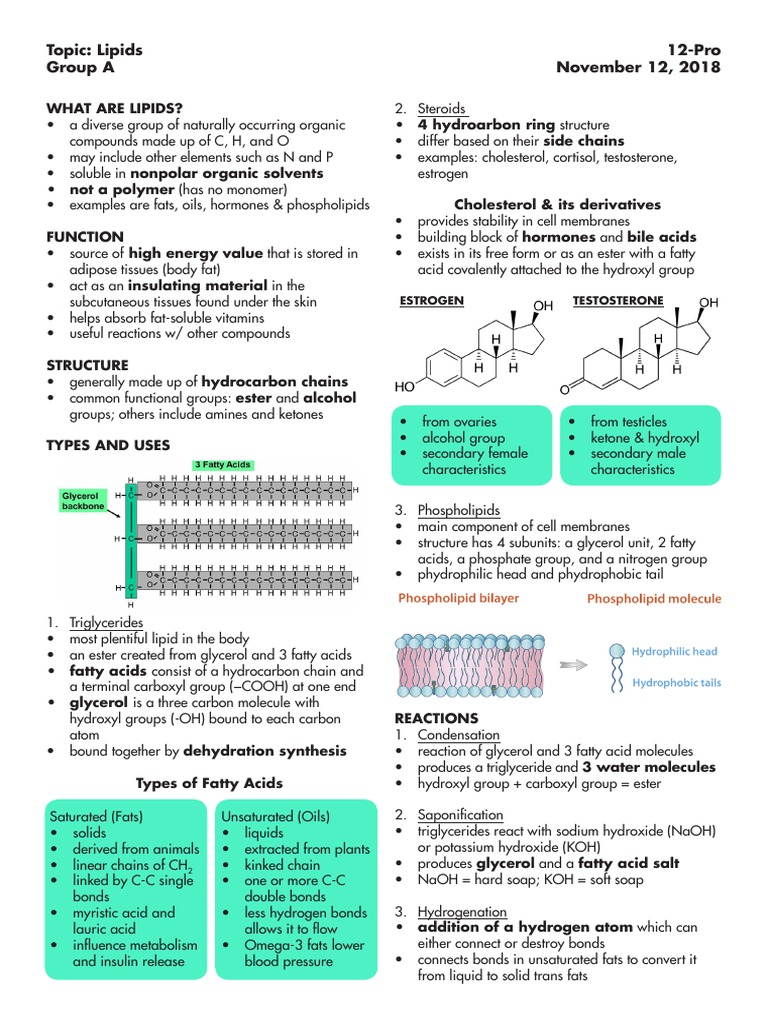 Lipids Handout  PDF  Lipid  Triglyceride For Lipids Worksheet Answer Key