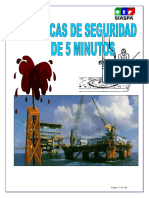 MANUAL DE PLATICAS DE SEGURIDAD DE 5 MIINUTOS.doc