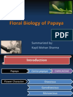 floralbiologyofpapaya-160515135353