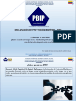 Que Es Una Declaracion de Proteccion Maritima - Codigo Pbip PDF