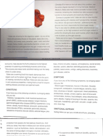 Datiles PDF