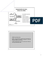 Aulatranscricao PDF