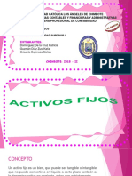 Activo Fijo PDF