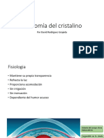 Anatomía Del Cristalino