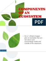 Components of Ecosystem