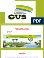 Presentacion Cvs
