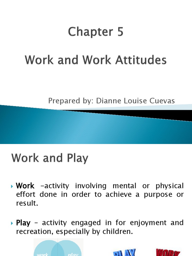 Understanding Work, Attitudes, and Efficiency | PDF | Attitude ...
