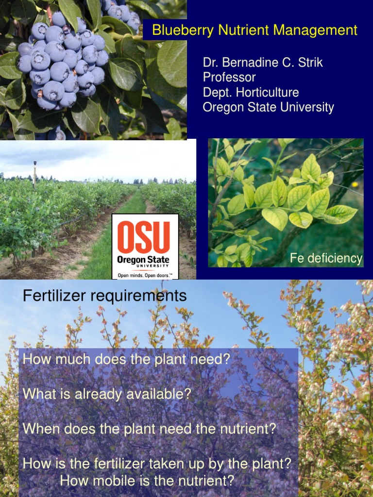 Plant Nutrient Imbalance Symptoms | PPTX, image size:768x1024