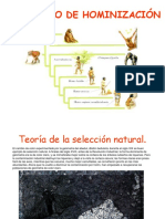 elprocesodehominizacion (1)