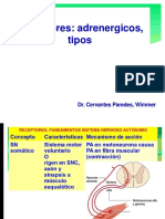 Adrenergic Os